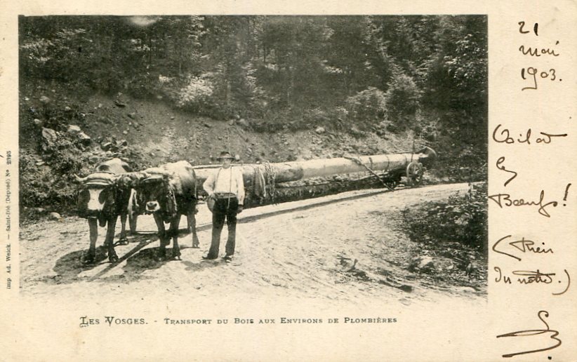Transport du bois