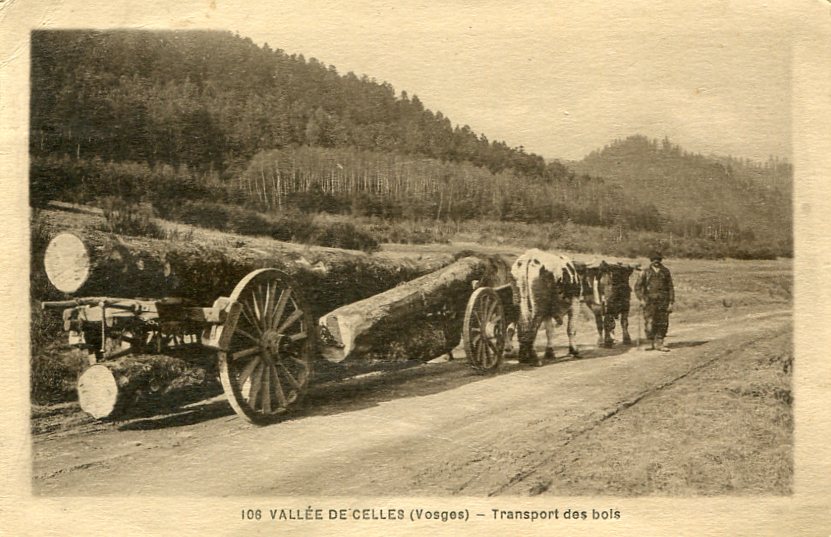 Transport des bois