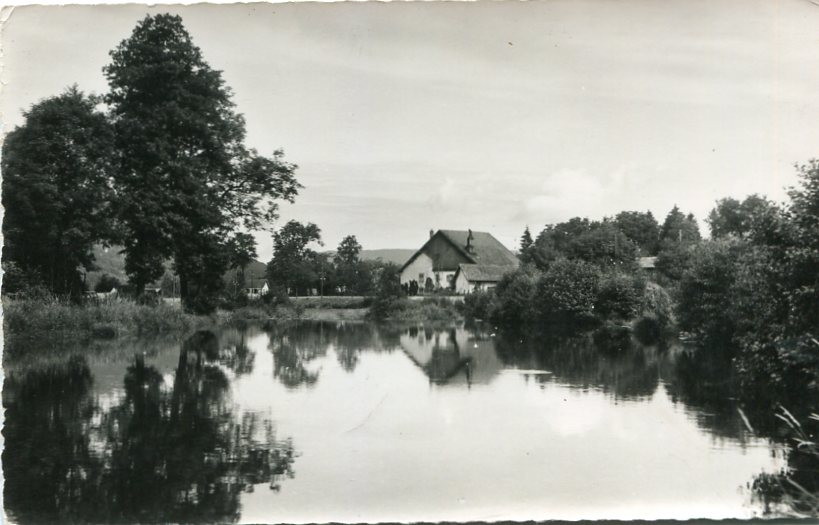 La Moselle à Maxonchamp