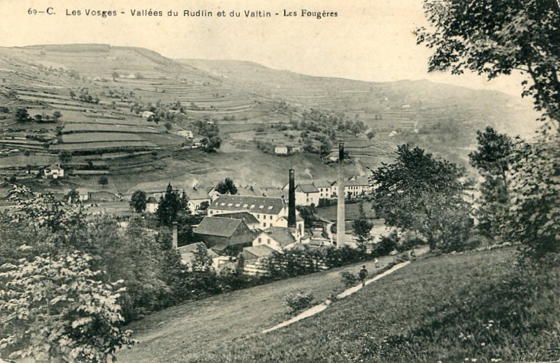 Les Fougères