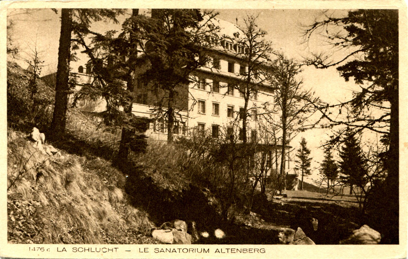 Altenberg-36