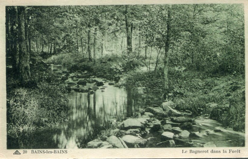 Le Bagnerot dans la Forêt