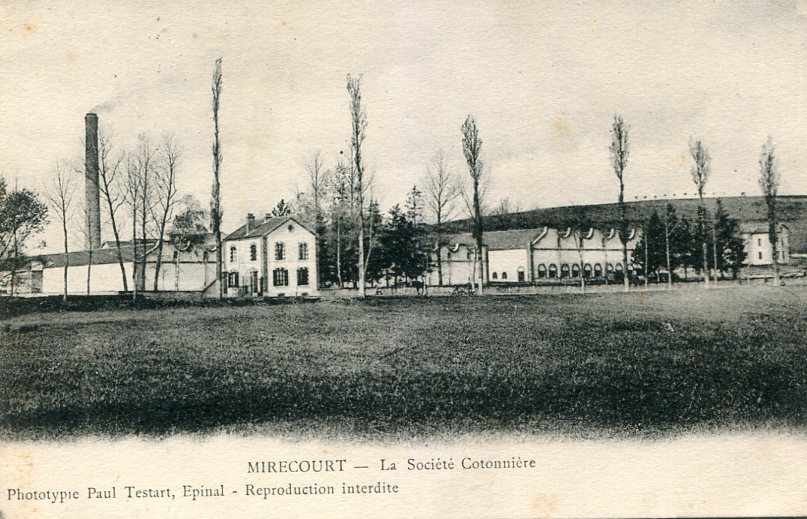 Société Cotonnière