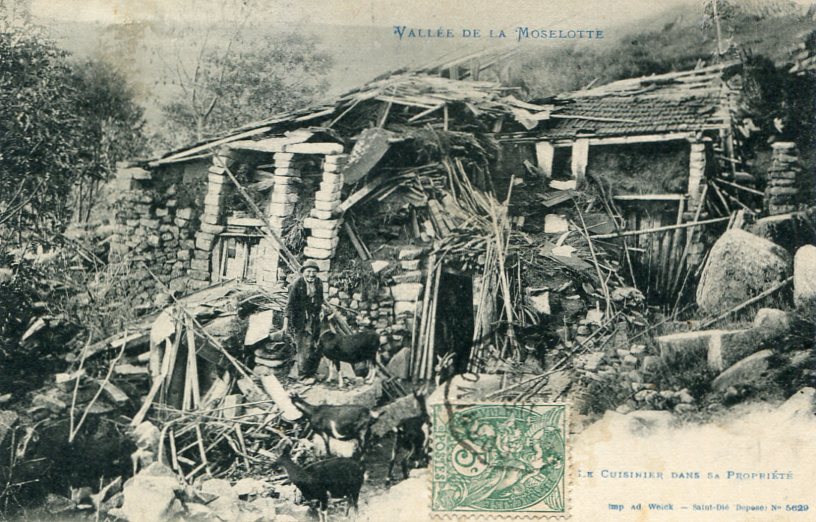 Le Cuisinier dans sa propriété