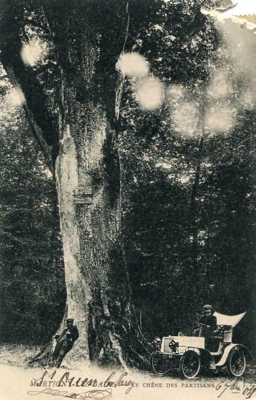 Chêne des Partisans