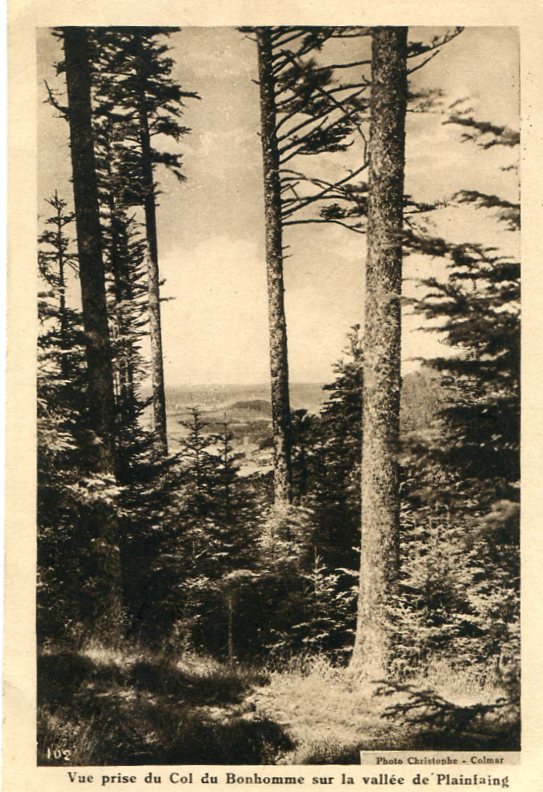 Vallée de Plainfaing